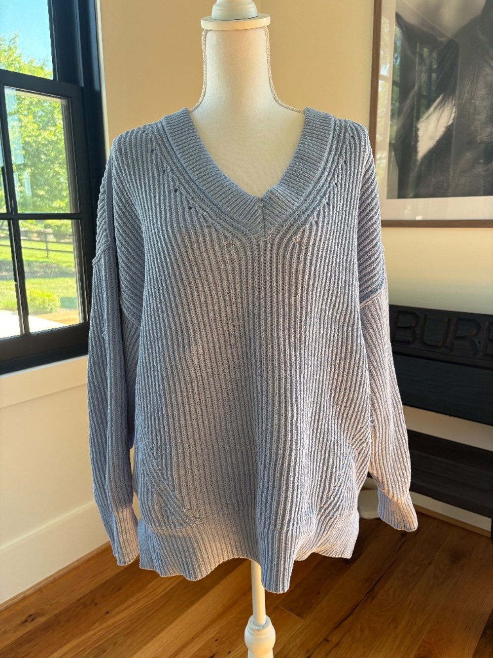 Aerie Beyond Chenille V-Neck Sweater